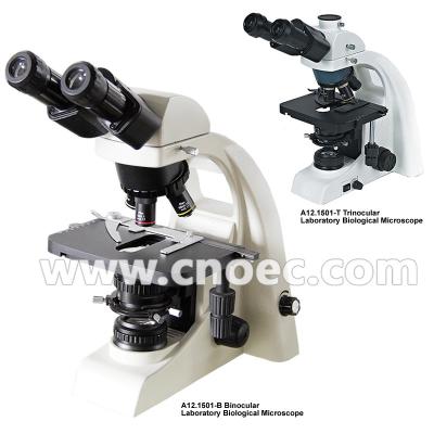 Cina Microscopi ottici composti A12.1501 di illuminazione dell'alogeno del microscopio del laboratorio in vendita