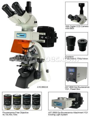 China Microscópio de Trinocular da fluorescência, 40X - microscópios de composto de 1600X A16.0802 à venda