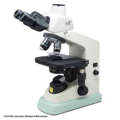 Cina Microscopio ottico A12.0705 del composto del sistema ottico di CFI per il laboratorio in vendita