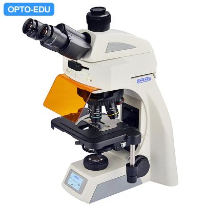 China El infinito OPTO Trinocular binocular de EDU A16.1062 llevó el microscopio fluorescente BG en venta