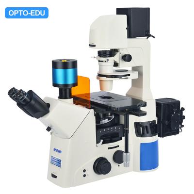 China Fluorescencia opta Stereomicroscope de la pantalla táctil de Edu A16.1097 Lcd en venta