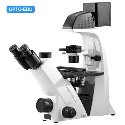 Cina OPTO-EDU Trinocular ha invertito l'illuminazione del microscopio biologico WF10X PlA14.2605 Kohler in vendita