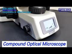 Binocular LCD Compound Optical Microscope Bright Field For Laboratory