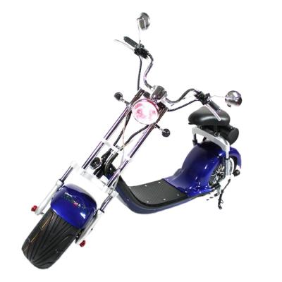 China europees citycoco accessories unisex multifunctional e-bikes W 1000 with great price for sale