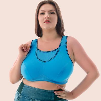 China Antibacterial Plus Size Tie Wide Medium-impact Unpadded Blue No-wire Sports Bra 34C-42E for sale