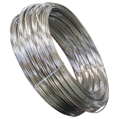 China Tie Wire SUS 302 304 304H WPB Stainless Steel Wires Pendant Springs for sale