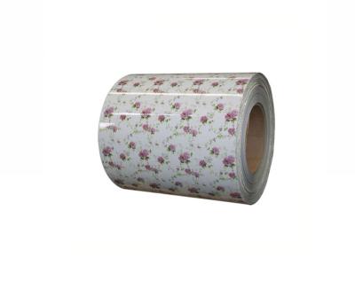 China New Modern Design Flower Pattern PPGI PPGL Prepainted Galvanized Steel Coil With Flower Design Flower ppgi for sale