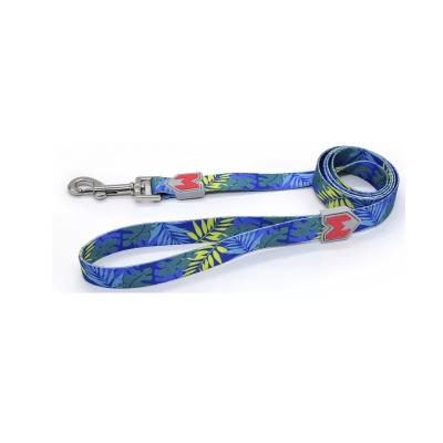 China DETACHED set of four seasons support customization dog leash and collar for sale