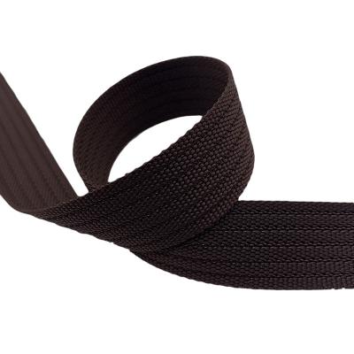 China High Quality High Tenacity Imitation Polyester Material Imitation Nylon Webbing High Gloss Web Band for sale