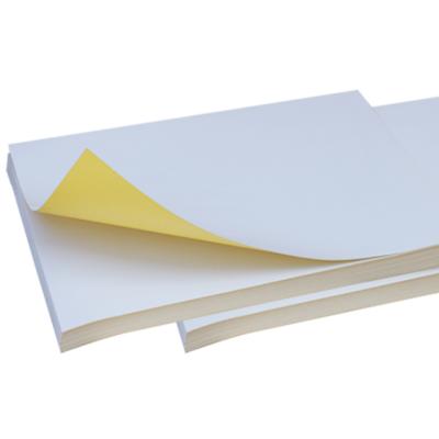 China Anti-Static Adhesive Sticker Paper 20' x30 Full Sheet Sticker Glassy Paper for sale