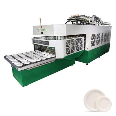 China Manufacturing Plant Fully Automatic Biodegradable Sugarcane Bagasse Pulp Molding Machine Production Line Paper Box Plate Cup Machine for sale