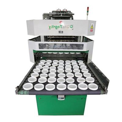 China Factory Disposable Biodegradable Sugarcane Bagasse Dish Cup Bowl Lunch Box Pulp Molded Tableware Making Machine Production Line for sale