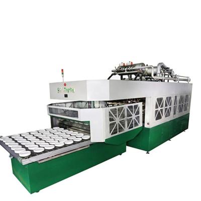 China Building Material Shops Biodegradable Sugarcane Bagasse Pulp Mold Disposable Paper Plate Making Mahine Production Line for sale