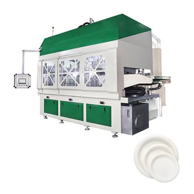 China SD-P08 Factory Full Automatic Sugar Cane Bagasse Fiber Pulp Food Container Biodegradable Paper Plate Making Machine for sale