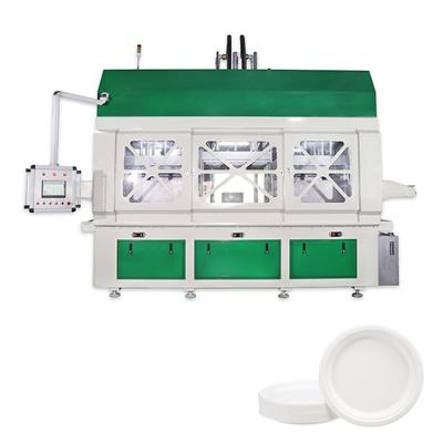 China Building Material Shops Biodegradable Lunch Box Tray Bowl Forming Making Machine for sale