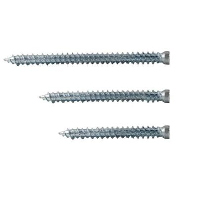 China High Quality Steel 1022 Steel Fastener Supply Concrete Screw for sale