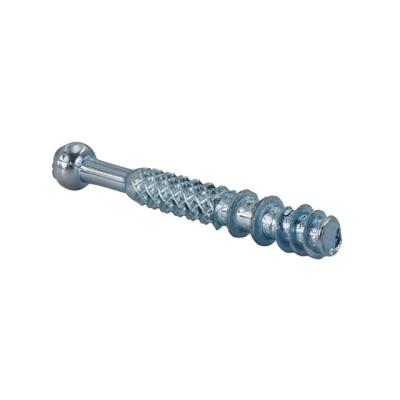 China Good Quality White Galvanized Steel 1018 Eccentric Screw For Furniture for sale