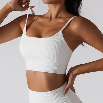 China 2022 High Quality Seamless Sports Bra And Short Activewear Sets Compression Ribbed Bra And Running Shorts Yoga Suit Gym Fitness Sets for sale