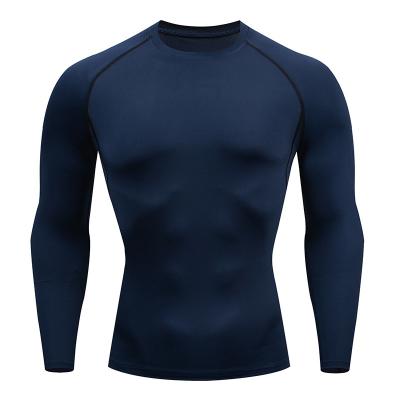 China Other men shape green black gray red white polyester high spandex sport wear breathable fitness training gym long sleeve shirt for sale