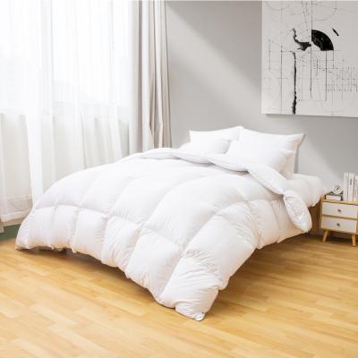 China High Quality Microbial Resistant Duvet Comforters King Size Warm Winter Duck Down Quilt Duvet Double Soft Hand Feeling Goose Down for sale