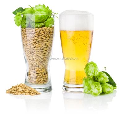 China Hotel draft beer raw material for sale