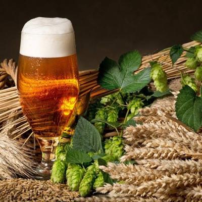 China Beer brewing system raw material of draft beer brewing for sale