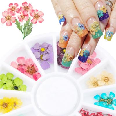 China Dried Flowers Nail Decorations 3D Manicure Real Preserved Summer Floral Leaf Polish Mixed Dry Nail Art Decoration Dried Flower Flower Tips for sale