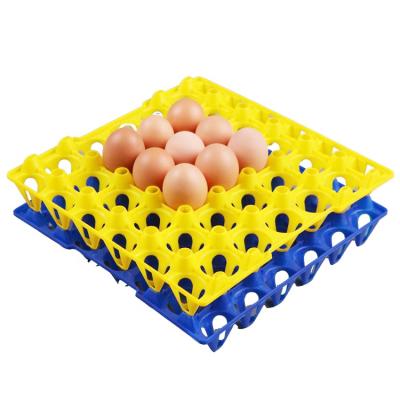 China Farms Plastic Egg Tray Plastic Egg Tray for sale