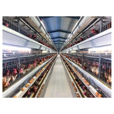 China Cultivate new intelligent management design poultry farm cage equipment for laying hens for sale