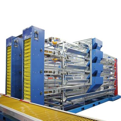 China Layer Chicken Farming Automatic C Layer Batter Cage for sale