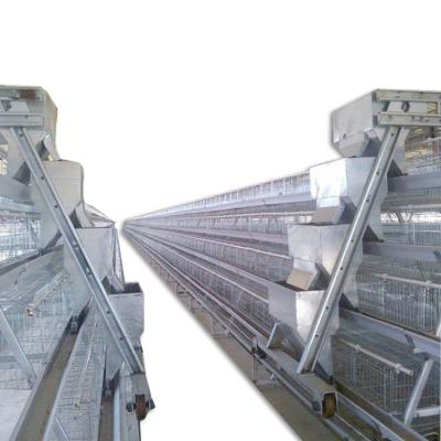 China Hot Dip Galvanizing Automatic Poultry Process Equipment Small Brood Outlet Plant Stepped Cages for sale