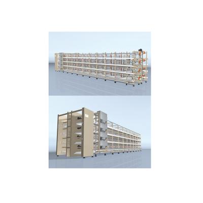 China Belt Manure Removal System New Arrival Automatic Stacked Broiler Breeding Equipment Poultry Farming Cage for sale