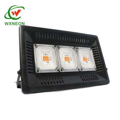 China Garden Plant 150W Green House Fruit Vegetable Folowrs LED Plant Growth Lamp With Plug for sale