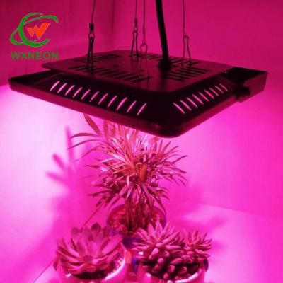 China Natural Garden Plant Heat Dissipation LED Plant Grow Lamp for Indoor Outdoor Vegetable and Flower for sale