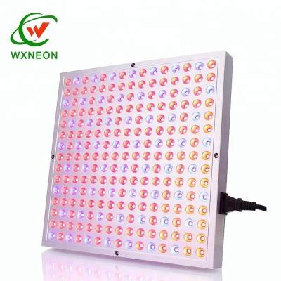 China Promote Plant Growth 45W LED Square Plant Grow Light For Cultivation Horticulture for sale