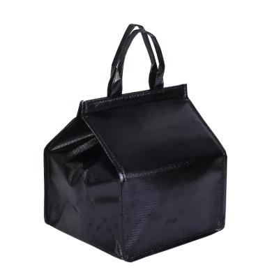 China Large Waterproof Picnic Disposable Box Insulated Cooler Non Woven Bag Lunch Cooler Bag for sale