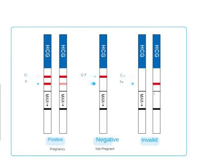 China Metal Pregnancy Test Strip Early Pregnancy Test Strip for sale