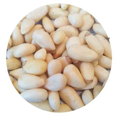 China Food/snacks/shelled Chinese pinenuts kernels pinus sibirica cedar baking pinenuts for sale