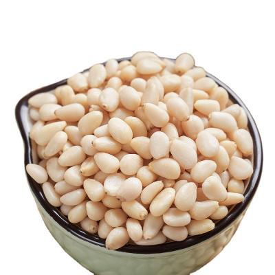 China Edible Shell Cedar Pine Nut Seedless Consumables Snack Pine Nuts Kernels for sale