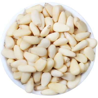 China Consumption Supply China Original Dry Nuts &Kernel Chalgoza Siberica Sprockets for sale