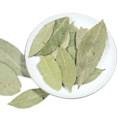 China Natural Dry Spices Favoring Laurel Dried Bay Leaves For Sale for sale