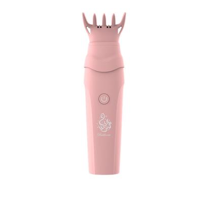 China Luxury Electric Censer Hair Comb Set Electronic Hair Burner Censer Comb Wholesale for sale