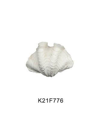 China Elegant Home Bali Hand Craft Decor Resin Giant Clam Shell Sea Shell For Living Room Key Tray for sale