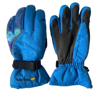 China Wholesale new design women ski gloves/woman ski gloves ski gloves for sale