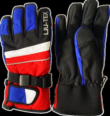 China High Quality Men's Winter Outdoor Sports Waterproof Custom High Quality Windproof Snowboard Skiing Gloves Skiing Gloves for sale