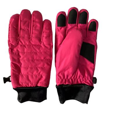 China Hot Selling Women In The Internet Fashion Women Winter Gloves Waterproof Classic Ski Gloves Sport Gloves for sale