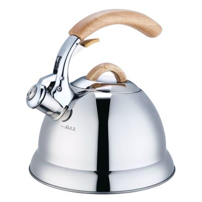 China Realwin Tea Water Kettle Long Handle Whistling Kettle Stainless Steel Wood Stove Top Water Kettle for sale