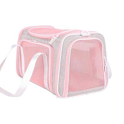 China Windproof Pet Carrier Travel Pet Carrier Portable Breathable Pet Carrier Bag for sale