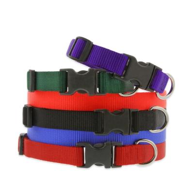 China Vegan Viable Single Choke Kingtale Adjustable Personalized Nylon Pet Collares Para Perros Dog Collar for sale