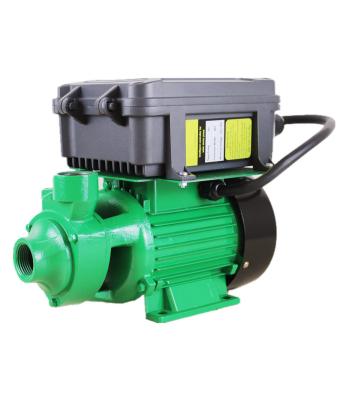 China 48V 500W High Pressure Solar Water DC Water Pump Vortexl Pump Copper Head Outdoor Motor Picture for sale